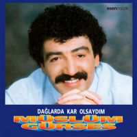 Dağlarda Kar Olsaydım