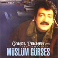 Gönül Teknem (2006) Sen Olmayınca