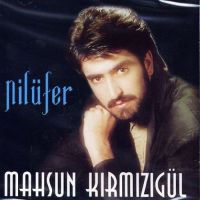 Nilüfer