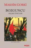 Bozguncu  Seçme Öyküler