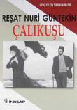 Çalıkuşu (Gençler İçin)