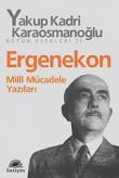 Ergenekon  Milli Mücadele Yazıları