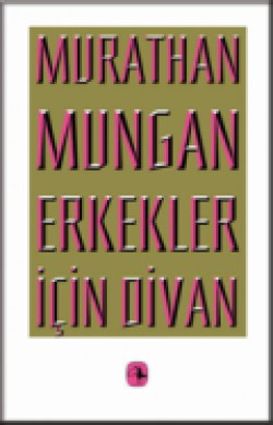 Erkekler İçin Divan