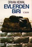 Evlerden Biri