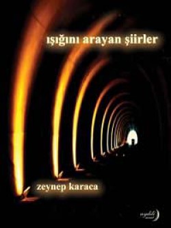 Işığını Arayan Şiirler