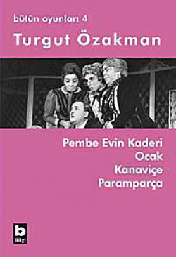 Pembe Evin Kaderi  Ocak Kanaviçe Paramparça / Bütü