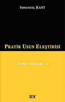 Pratik Usun Eleştirisi