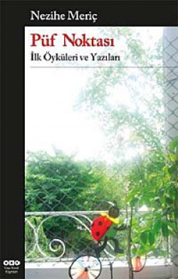 Püf Noktası  İlk Öyküleri ve Yazıları