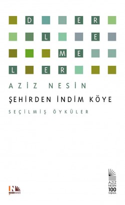 Şehirden İndim Köye / Seçilmiş Öyküler