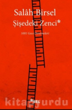 Şişedeki Zenci (1001 Gece Denemeleri)