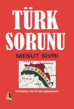 Türk Sorunu