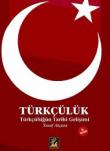 Türkçülük / Türkçülüğün Tarihi Gelişimi