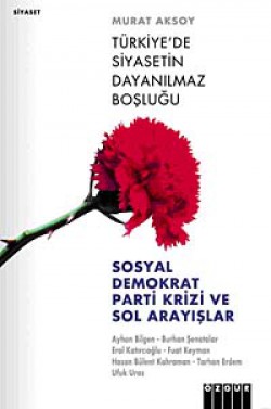 Türkiye'de Siyasetin Dayanılmaz Boşluğu  Sosyal De