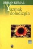 Yazmak Doludizgin