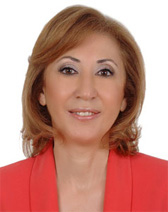 Ayşe Gülsün Bilgehan