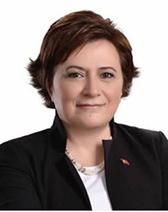 Fatma Güldemet Sarı