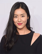 Liu Wen