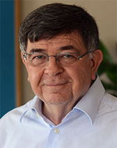 Şahin Alpay