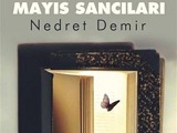 Nedret Demir resim - 3