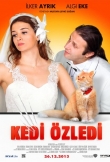 Kedi Özledi