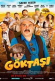 Göktaşı