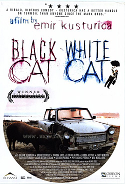 Black Cat, White Cat