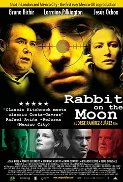 Rabbit on the Moon